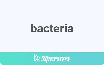 bacteria 2+意思|BACTERIA中文(繁體)翻譯：劍橋詞典